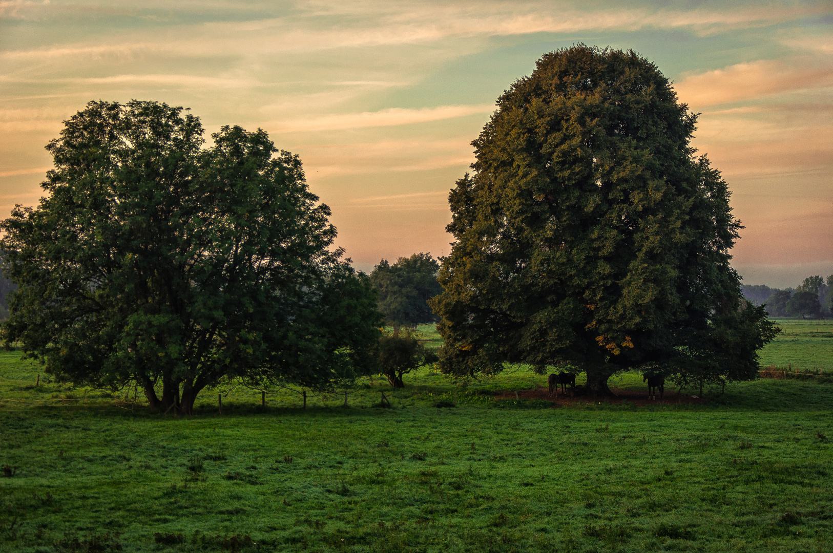 Erwachen am Morgen