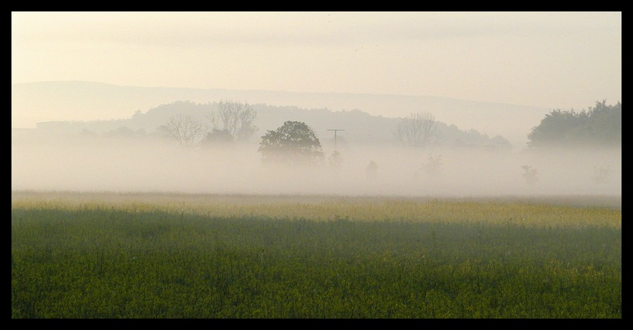 Erwachen aus dem Nebel