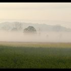 Erwachen aus dem Nebel