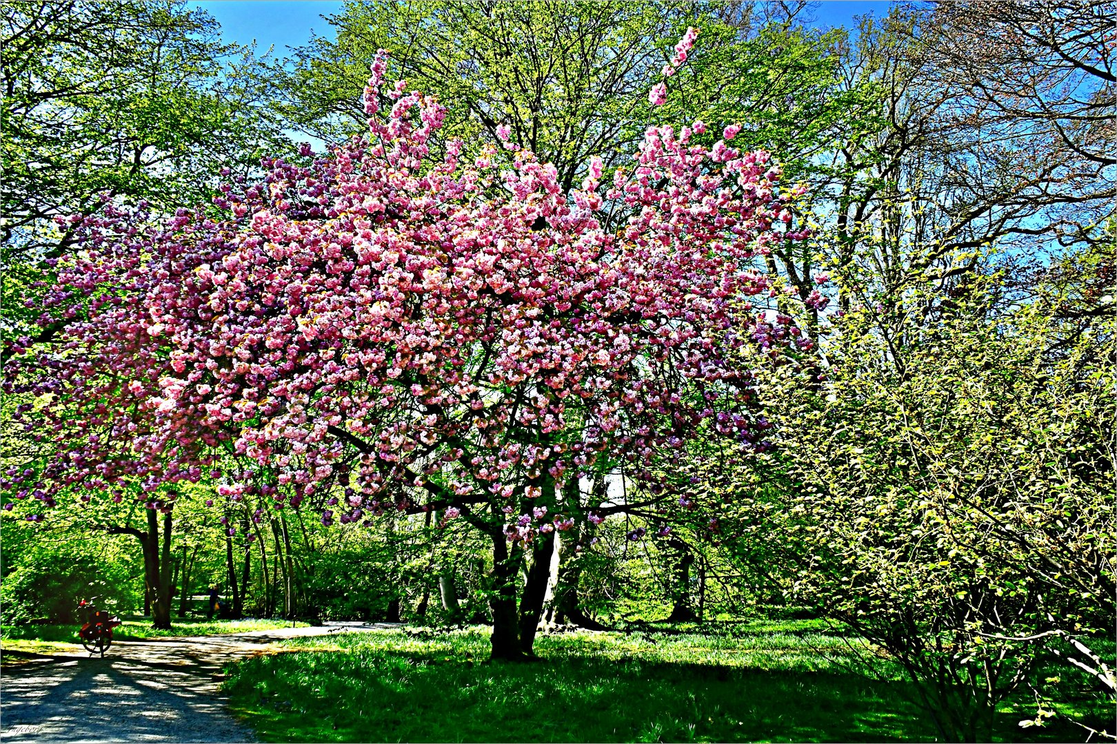 * Erwachen der Natur *