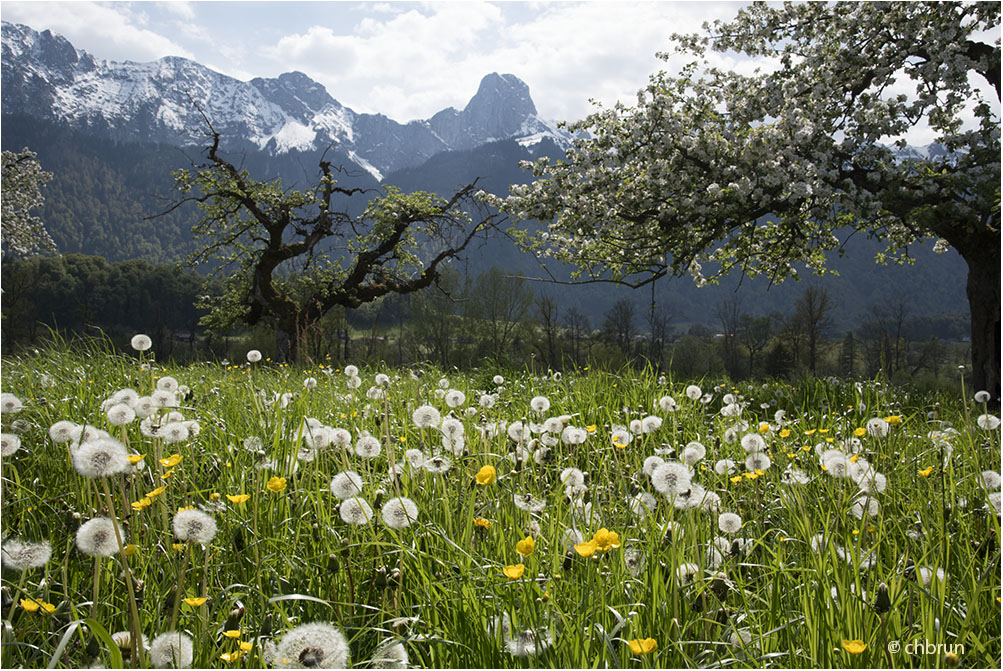 Erwachen der Natur