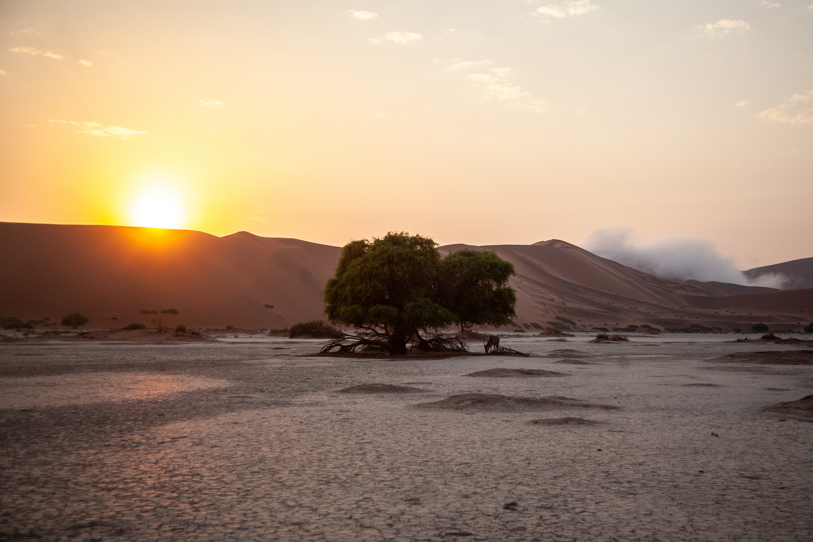 Erwachen in der Namib