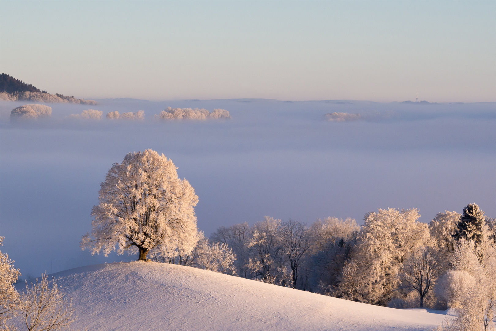 Erwachen über dem Nebel