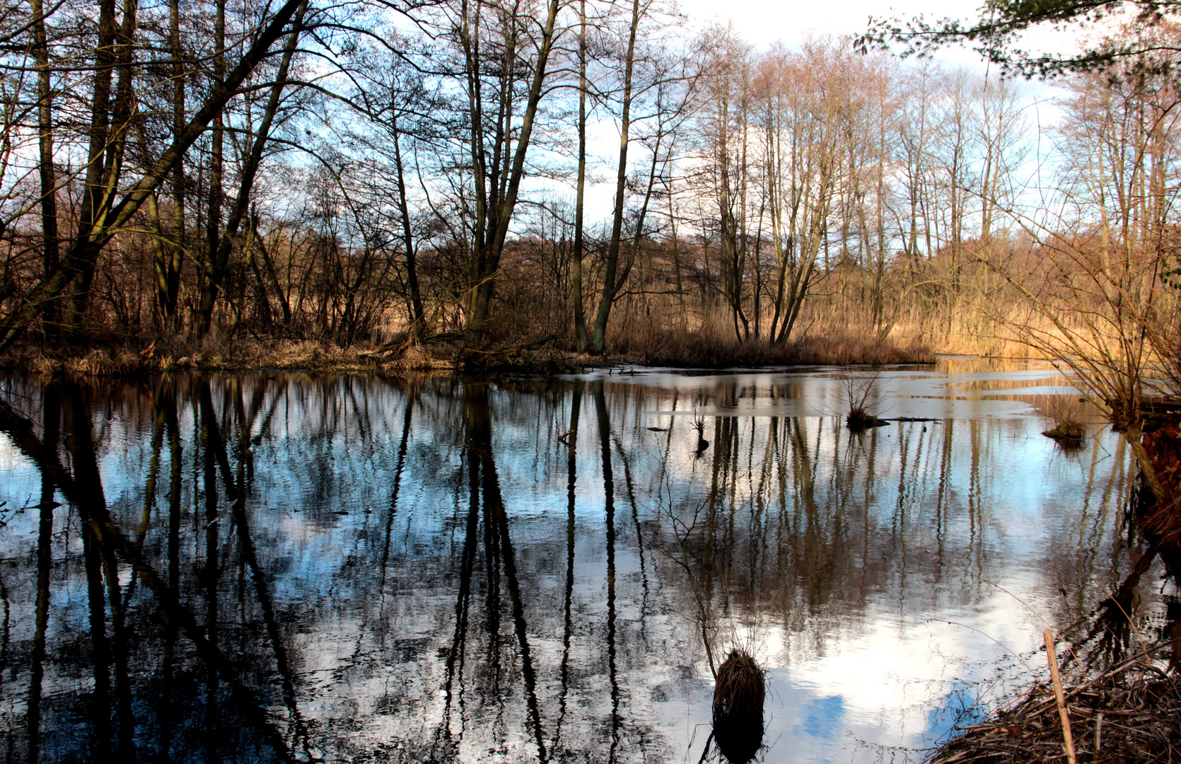 Erwachende Natur