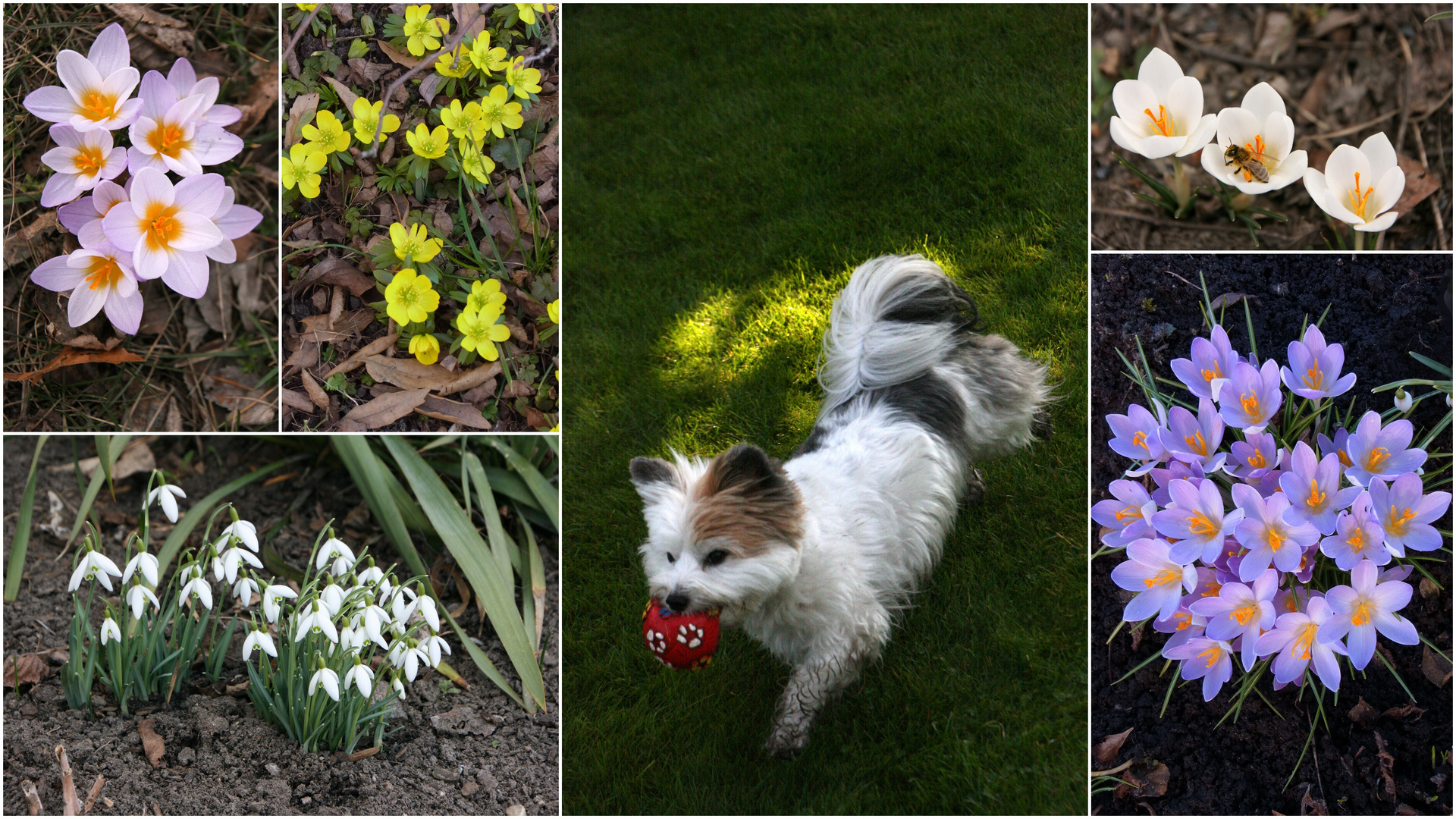 Erwachender Frühling