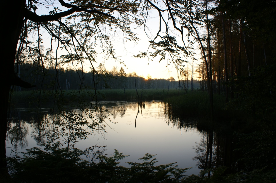 Erwachender Morgen