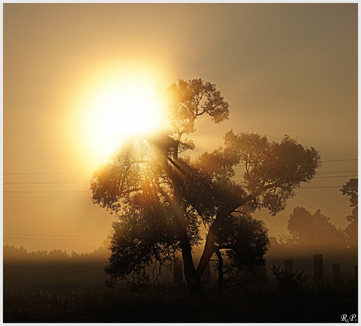 erwachte die sonne