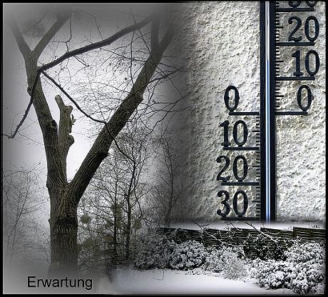 Erwartung