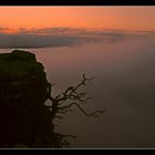 Erwartung auf dem Lilienstein