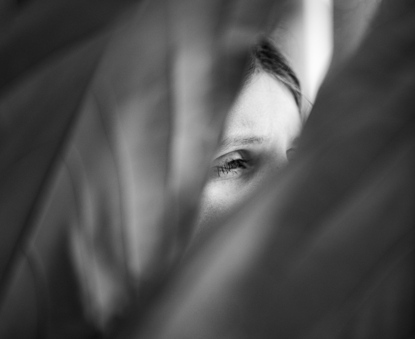 Erwartung Foto & Bild people, spezial, monochrome Bilder auf