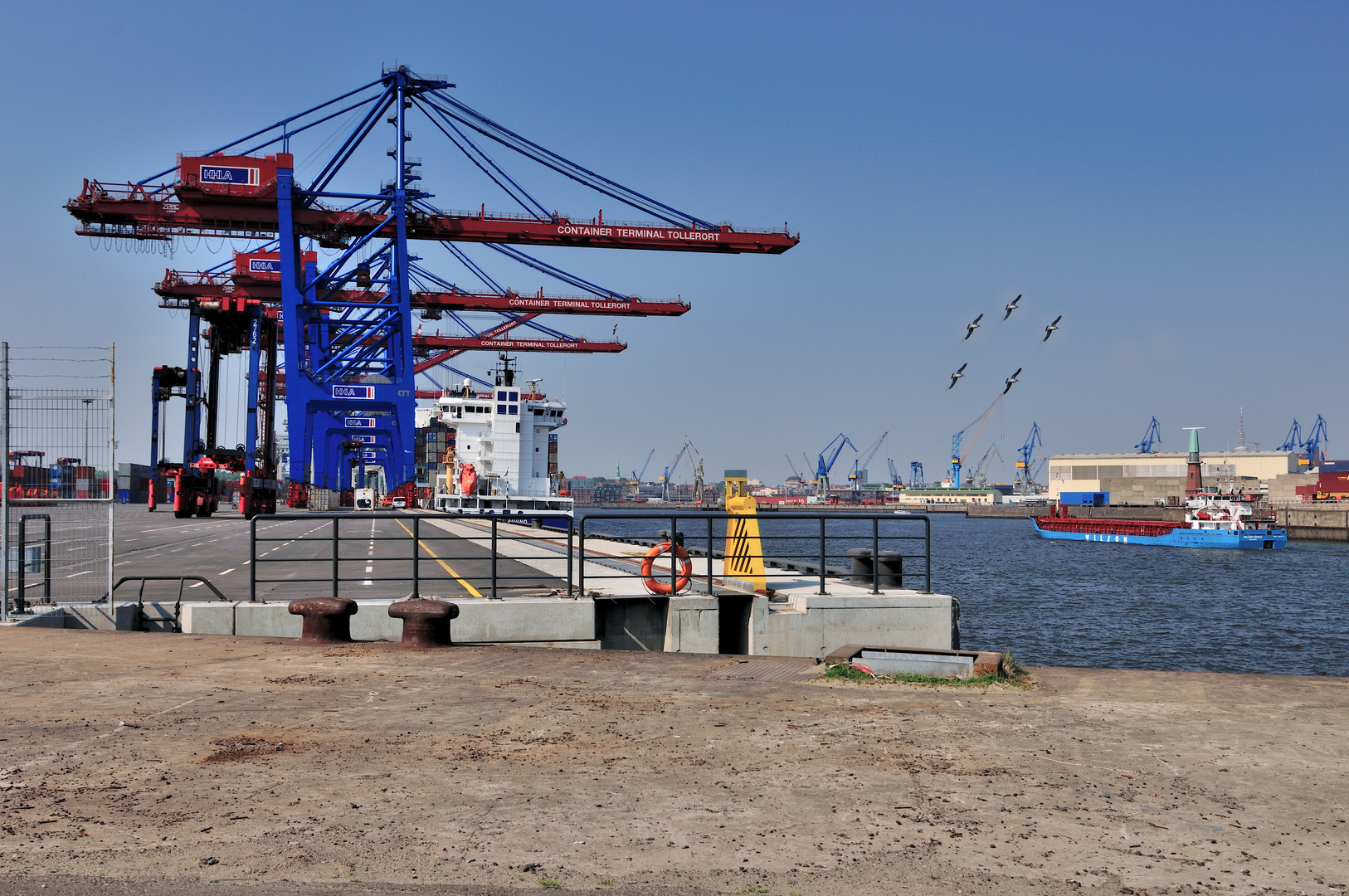 Erweiterung des Containerterminals Tollerort .