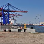 Erweiterung des Containerterminals Tollerort .