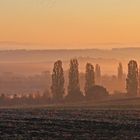 "Erweiteter Elbtalnebel" und aufgegangene Sonne nach einer halben Stunde...