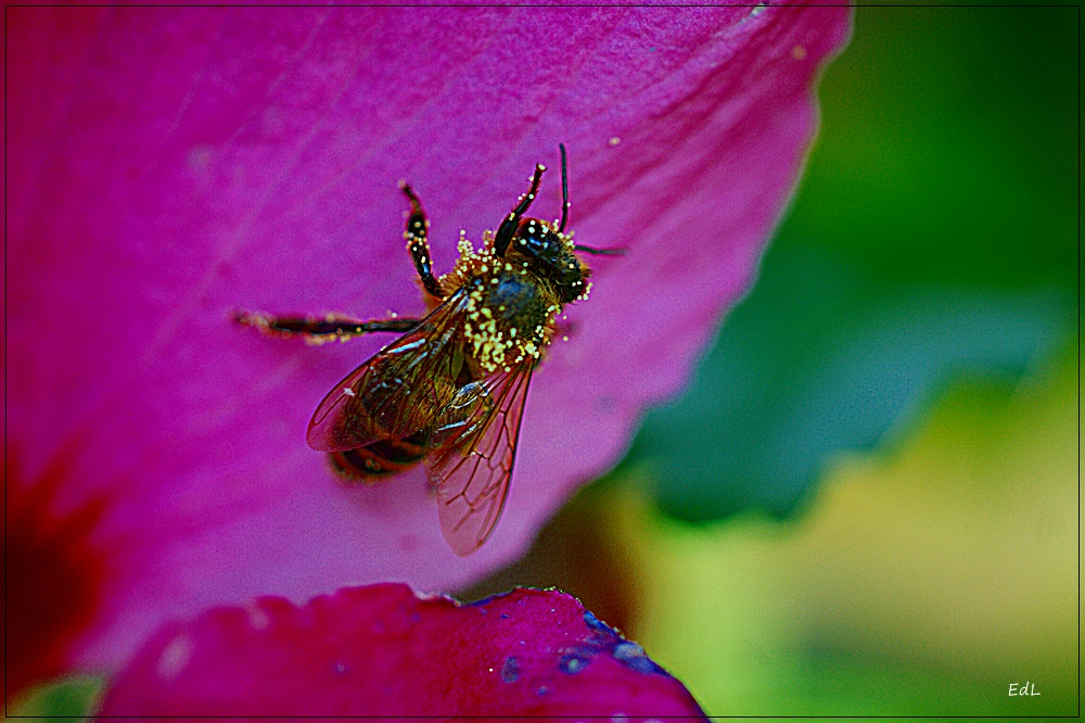 Erwischt.../ Covered by food ;))