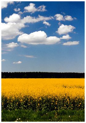 Erzählungen der Wolken