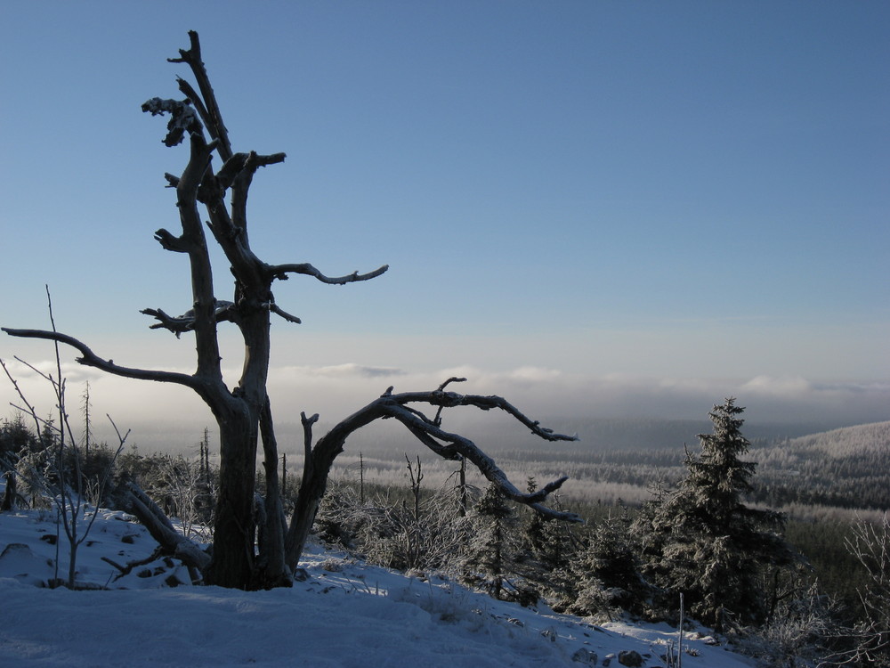 Erzgebirge...