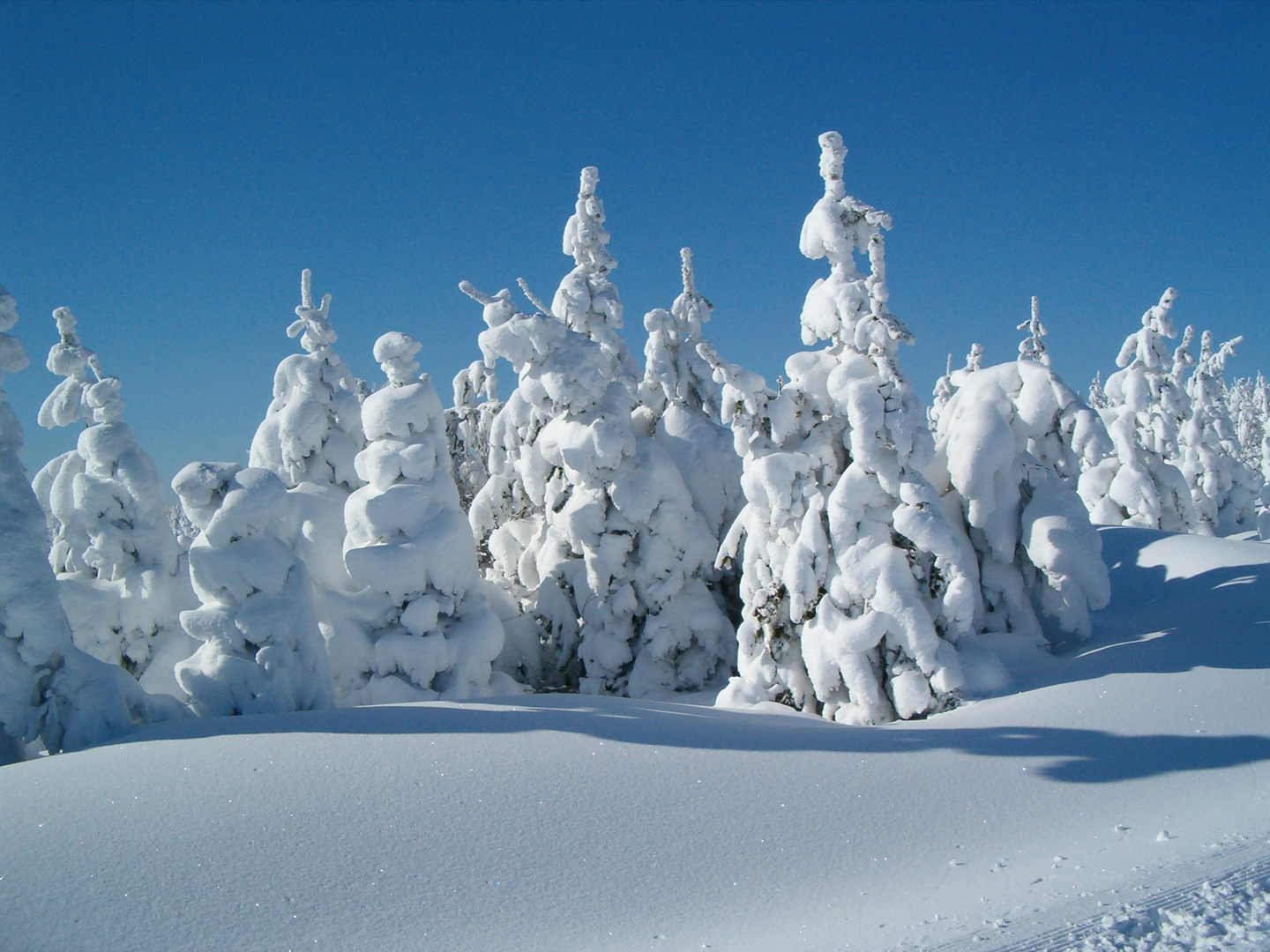 Erzgebirge bei Altenberg.