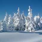 Erzgebirge bei Altenberg.