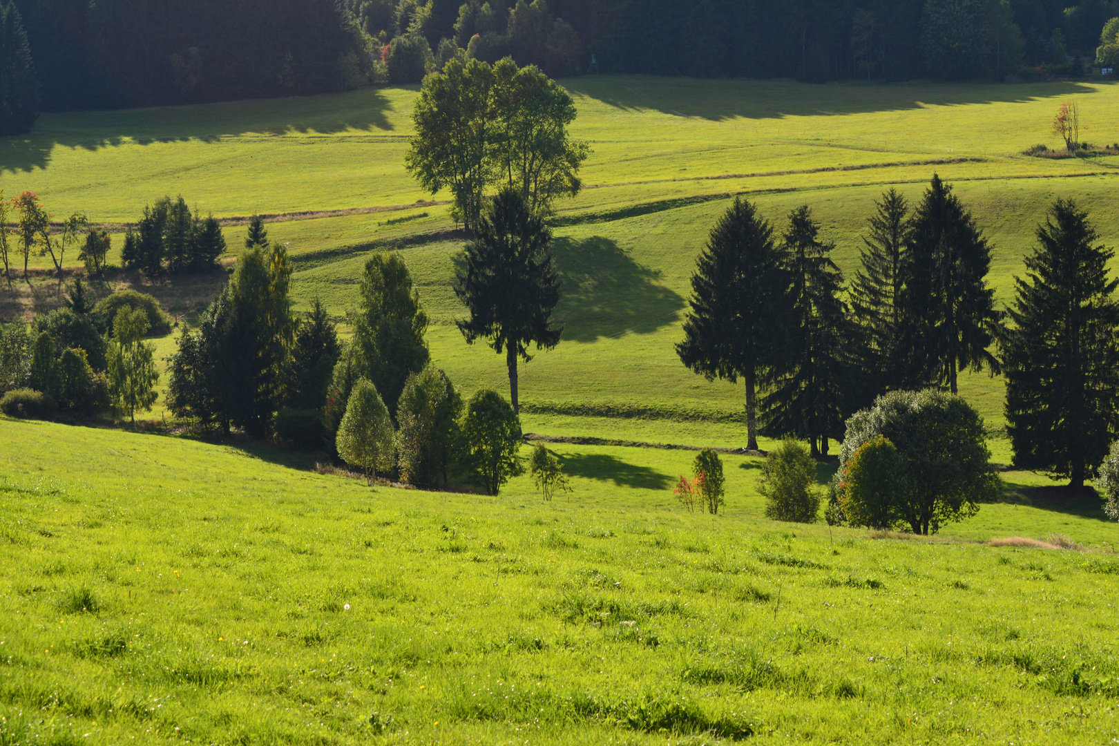 Erzgebirge im September