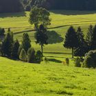 Erzgebirge im September