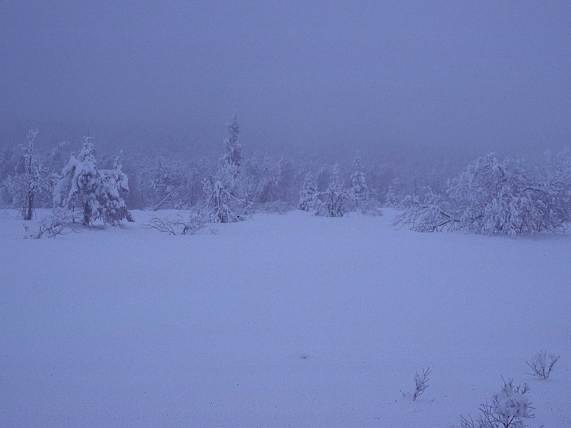 Erzgebirge im Winter 10