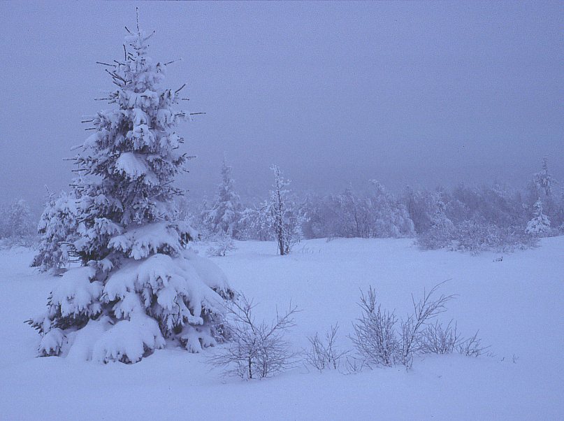 Erzgebirge im Winter 12