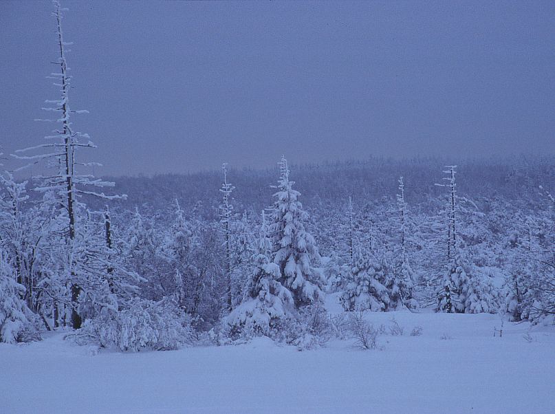 Erzgebirge im Winter 16