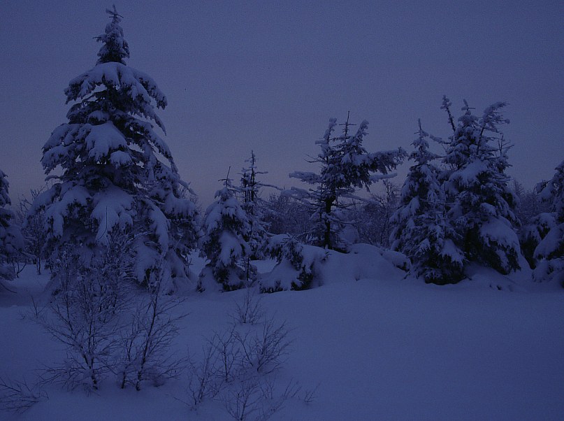 Erzgebirge im Winter 17