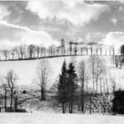 Erzgebirge Winter - No. 2