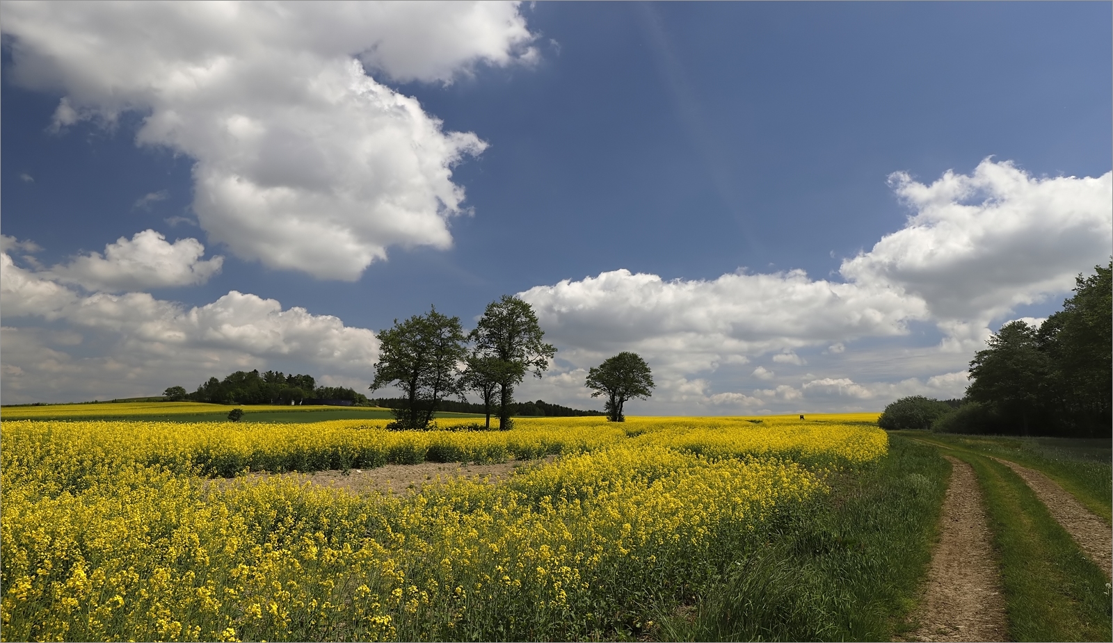 Erzgebirge_220522