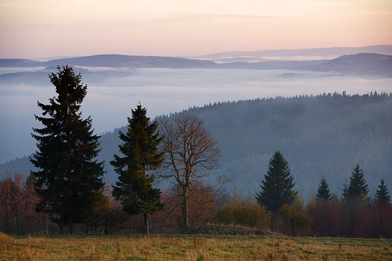 Erzgebirgskamm, Herbst 2013