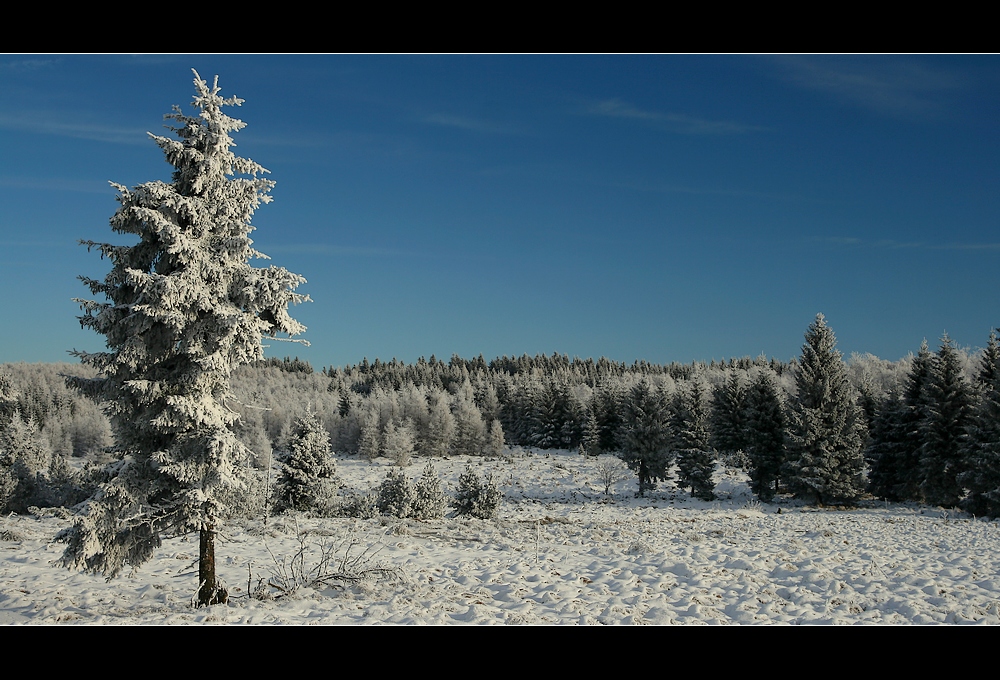 Erzgebirgskamm_Weihnachten_2007