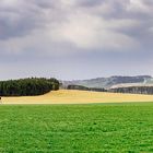 Erzgebirgslandschaft 4