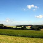 Erzgebirgsvorland im Sommer