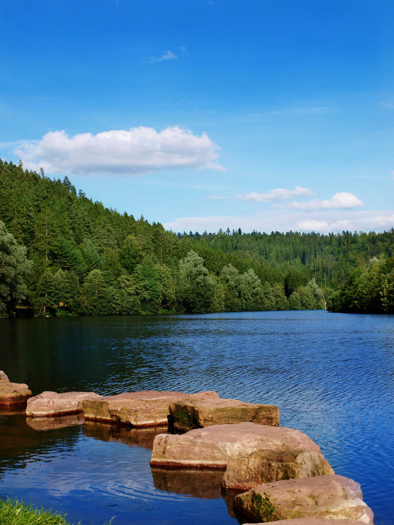 Erzgrube im Schwarzwald 2