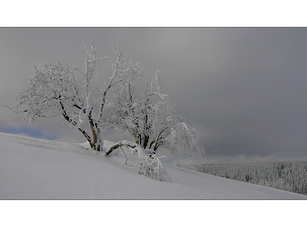 Erzi-Winter-2010 (3)
