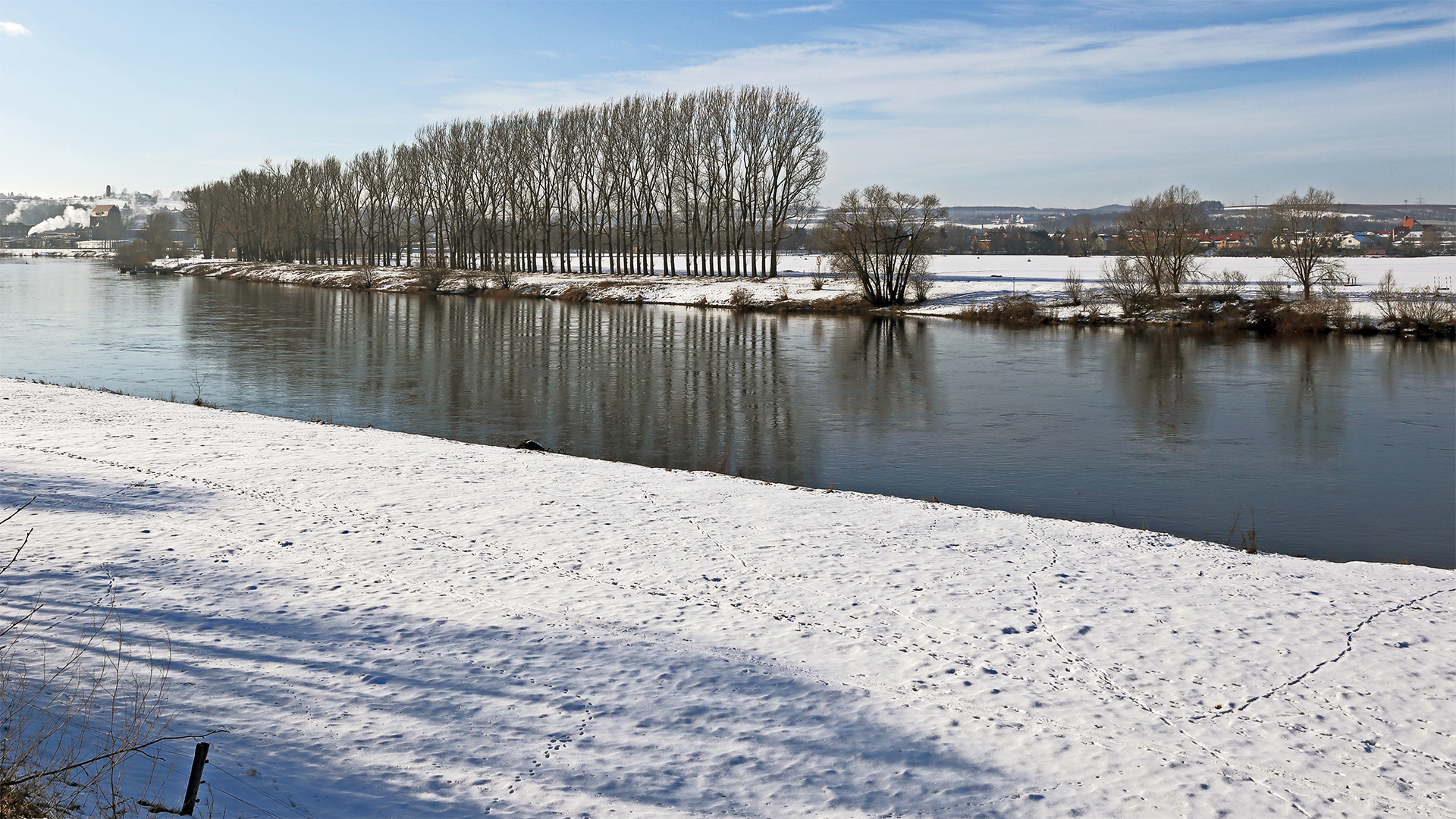 Erzwungen habe ich diesen Blick an der Elbe...