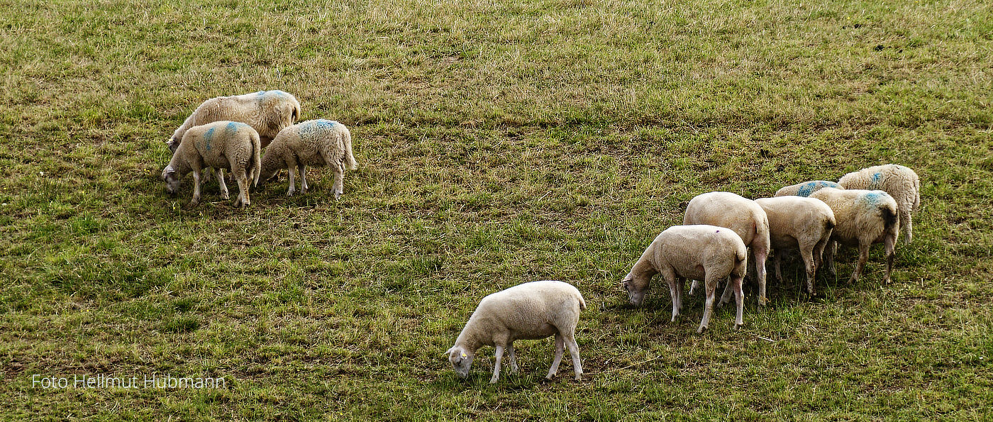 ERZWUNGENE, KOLLEKTIVE, ÖFFENTLICHE  NACKTHEIT