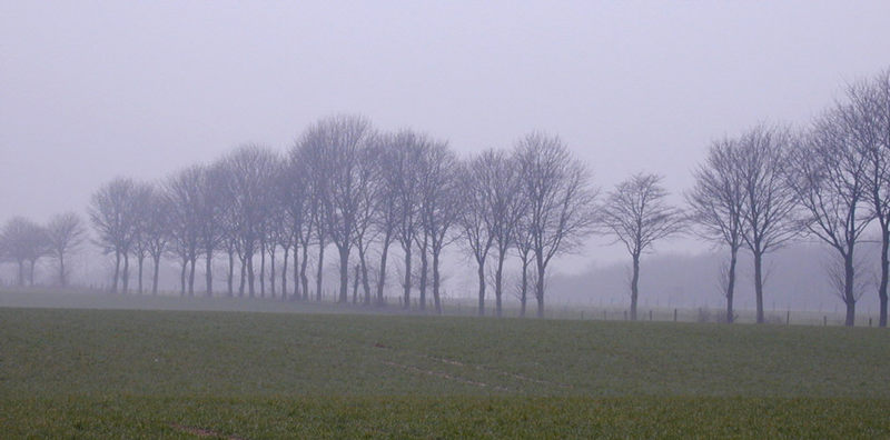 es bleibt einfach grau