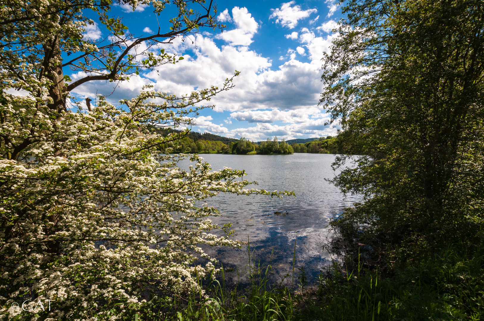 ....es blüht am See