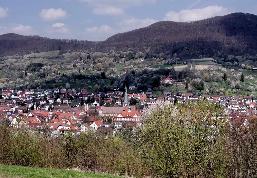 "Es blüht das fernste, tiefste Tal ..."