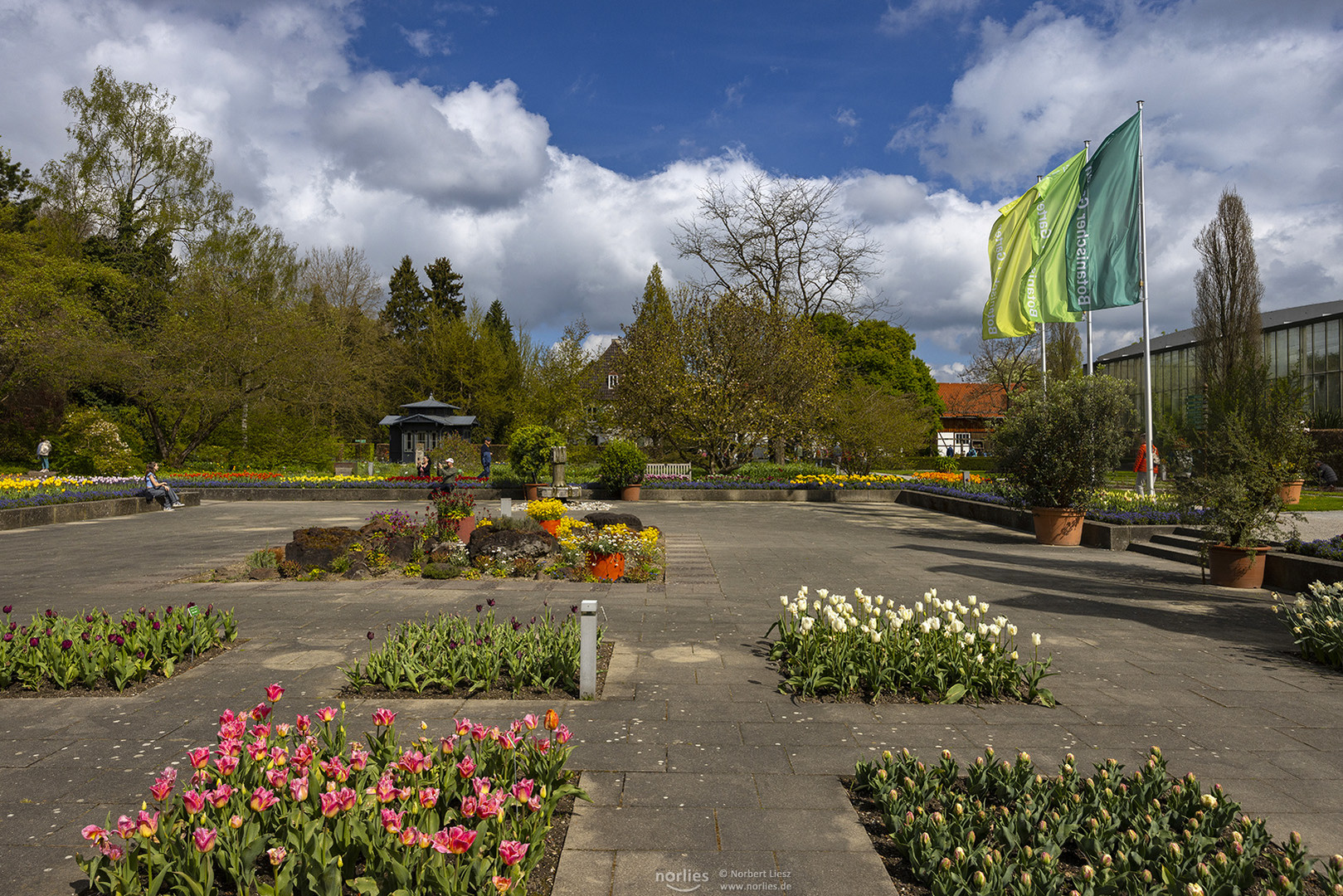 Es blüht im Senkgarten