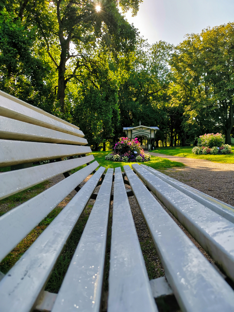 Es blüht in der Lichtentaler Allee 2