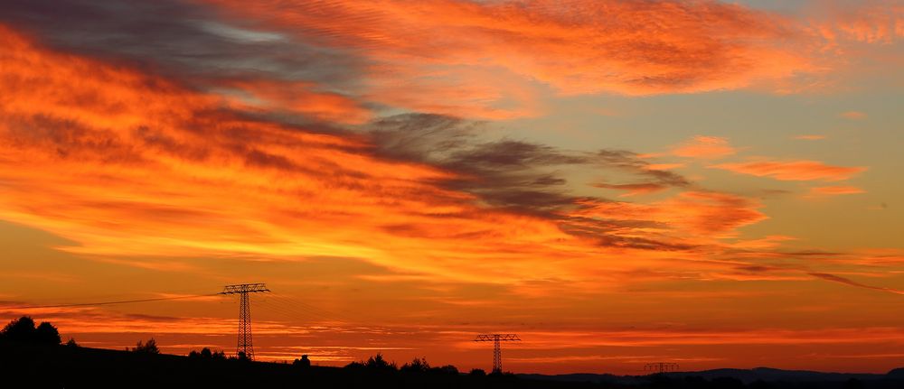 Es brannte gestern Morgen wie Feuer am Himmel auf den Fluren vor meinem Garten...