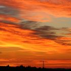 Es brannte gestern Morgen wie Feuer am Himmel auf den Fluren vor meinem Garten...