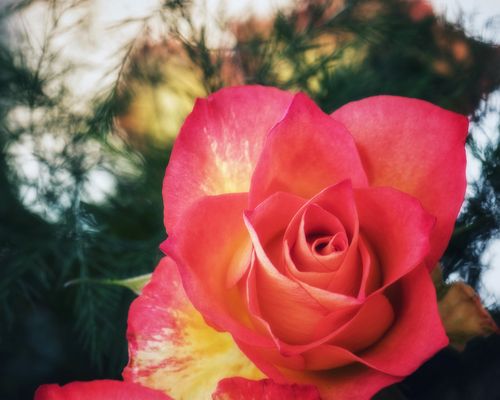 Es braucht keinen Titel 