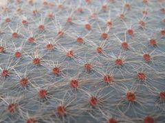 Es breitet sich aus...