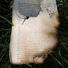 Es brennen noch immer Bücher in der Welt....