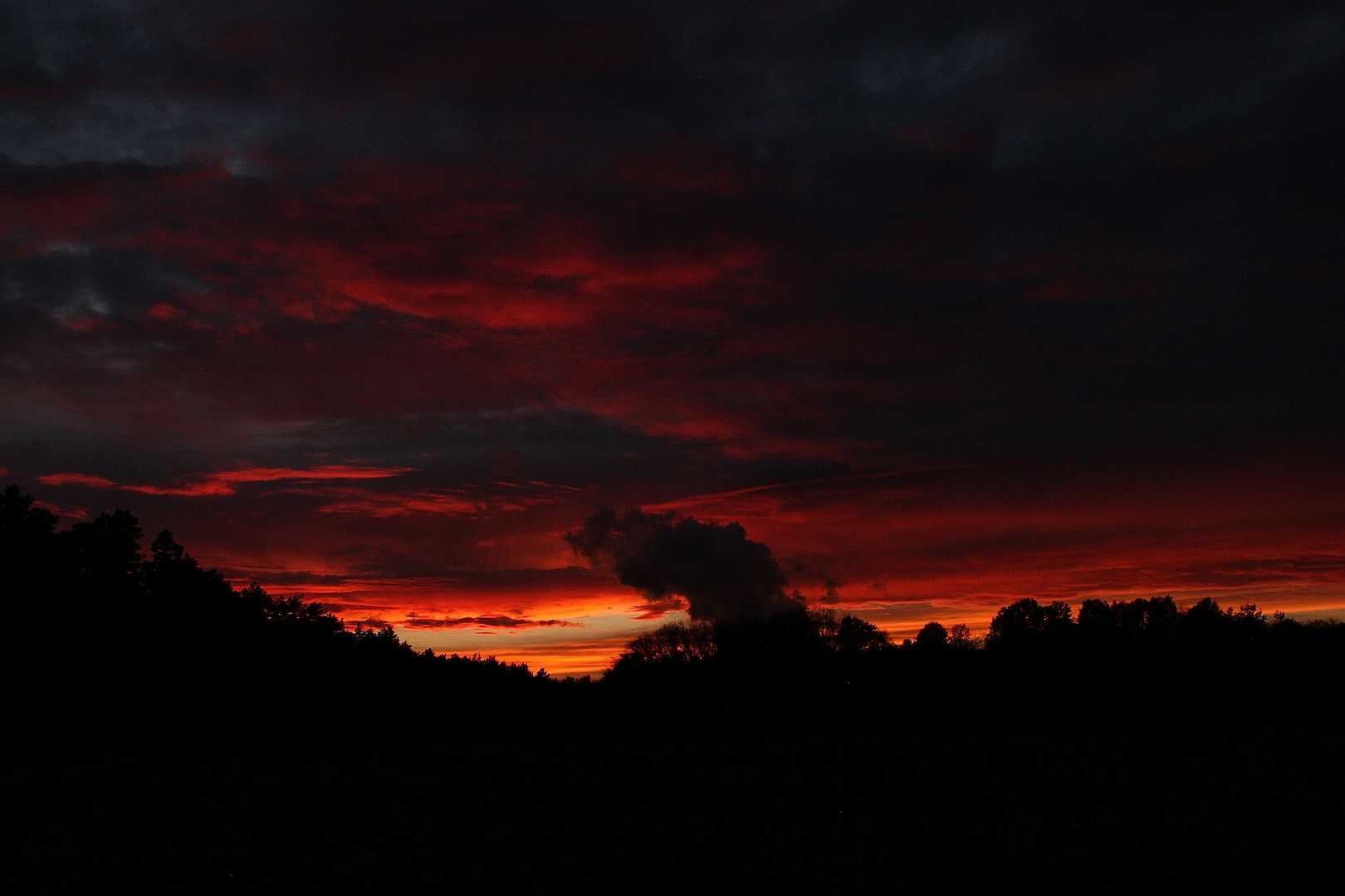 Es brennt der Wald - im Abendrot