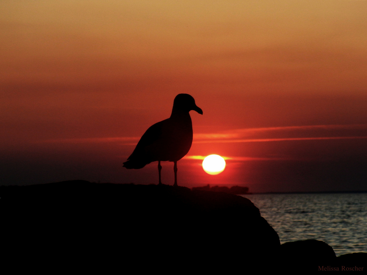 Download In den fernen schauen For iPhone Free In Den Fernen Schauen